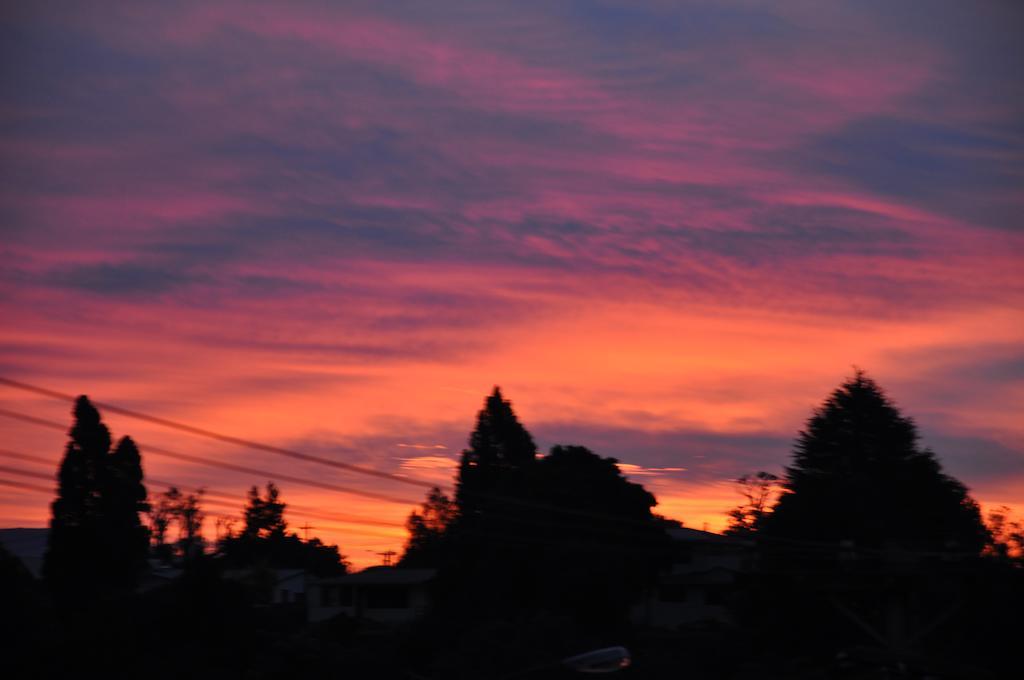 Bed and Breakfast Harbinger House Tauranga Exterior foto