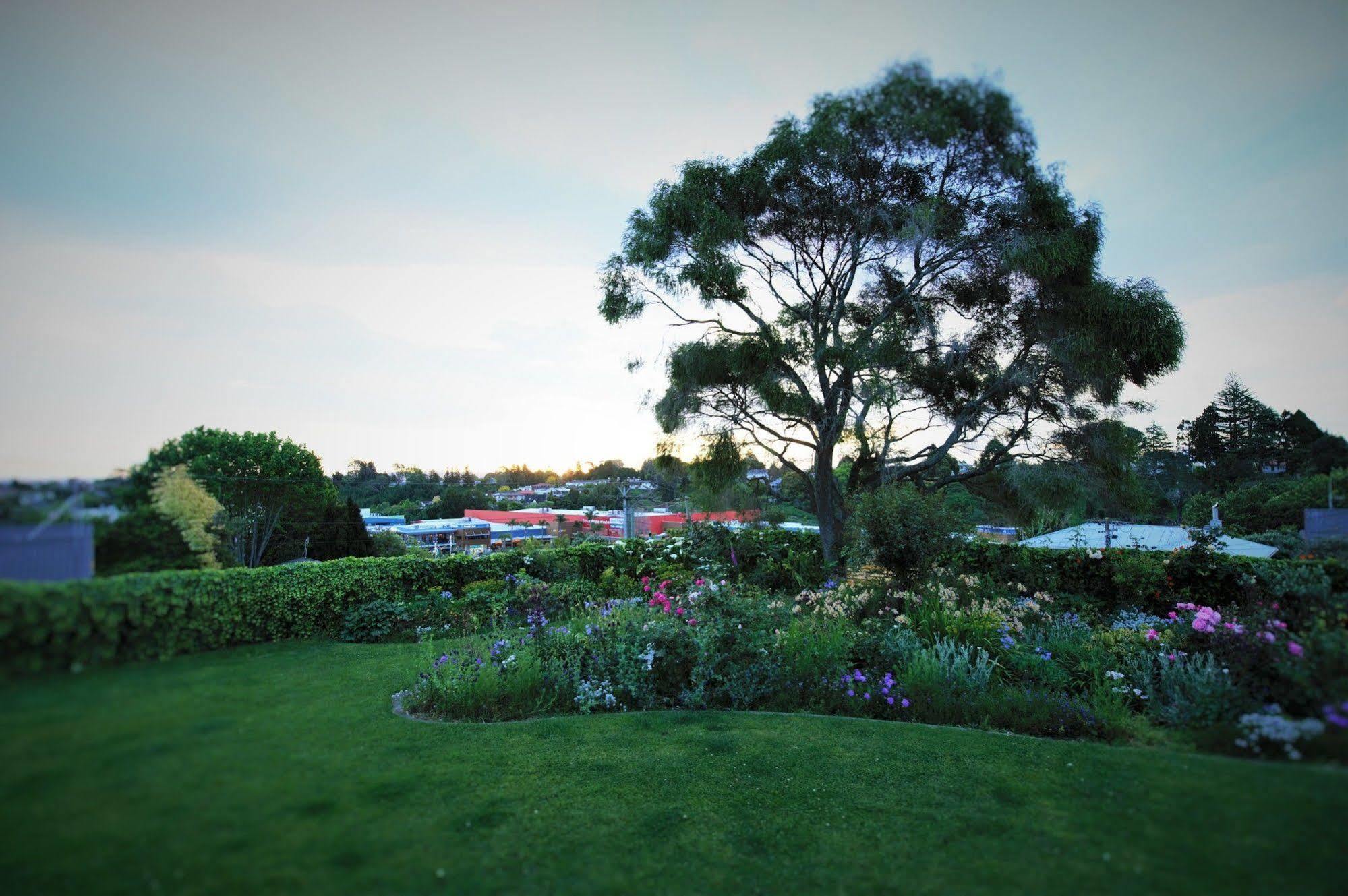 Bed and Breakfast Harbinger House Tauranga Exterior foto